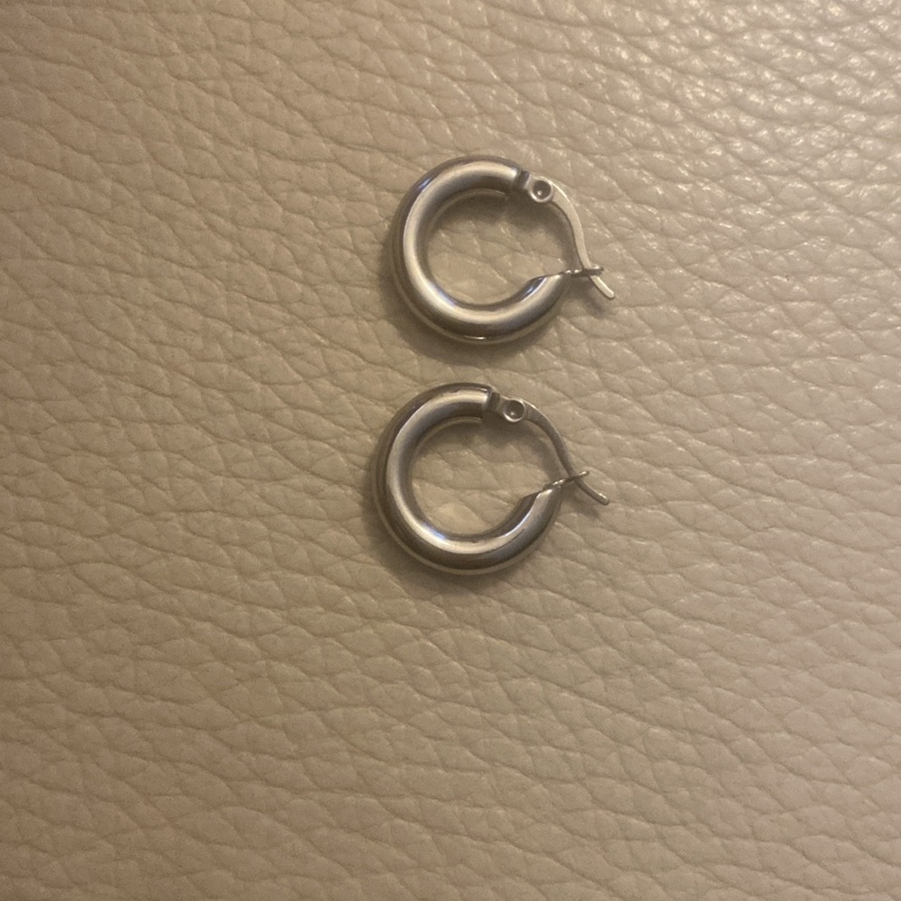 Hoop earings (1001)